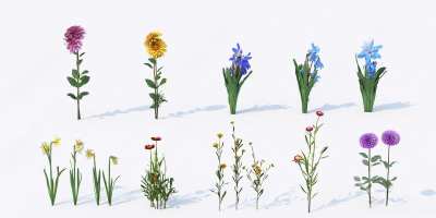 现代花草花卉3D模型下载